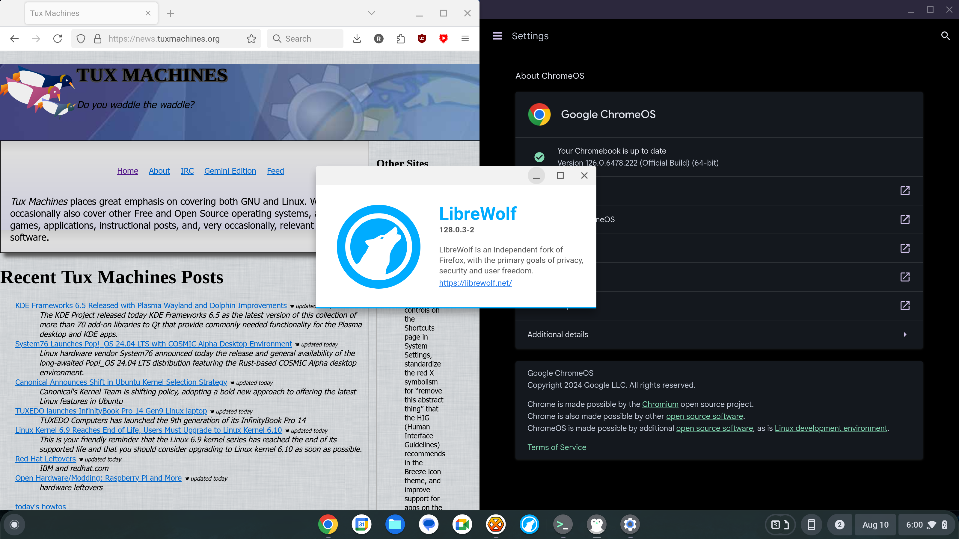 Ryan's GNU/Linux container under ChromeOS