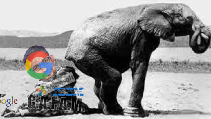 G.A.F.A.M.: Elephant Poopy