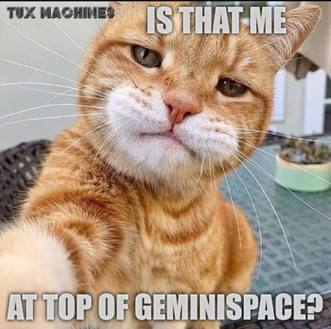 Karen, we need to talk: is that me at top of Geminispace?