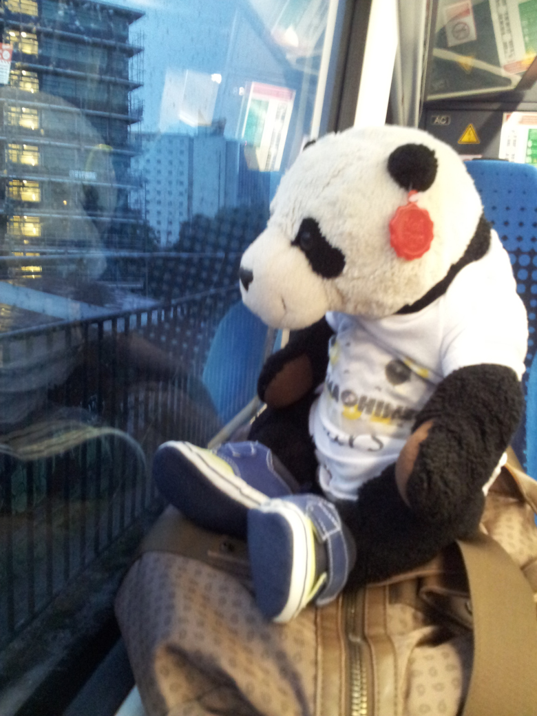 Panda in train