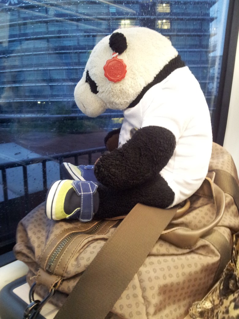 Panda in train