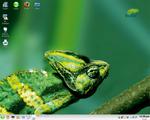 SUSE 10.1b1