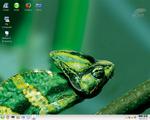 SuSE 10.1a1
