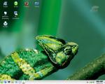 OpenSuSE 10.0 RC 1
