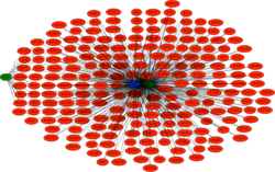 Google Collisions Visualized