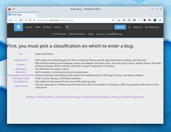 Screenshot Bug Report