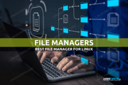 The file managers