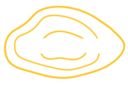 Stratis