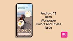 Android 13 Beta Wallpaper