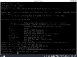 Static Linux 2022 -- Using Static Linux to download itself