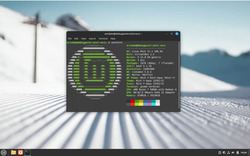 Linux Mint 21.1 “Vera”