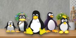 8 Best Linux Distributions