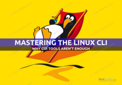 Mastering the Linux CLI
