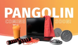 Pangolin laptop