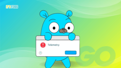 go lang to disable telemetry by default
