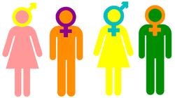diversity inclusion gender spectrum