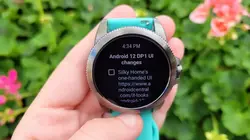  Wear OS