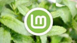 Linux Mint 21.2 Beta ISOs Have Entered Testing