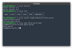 terminal