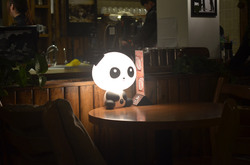 Panda Light: Lamp with a panda body
