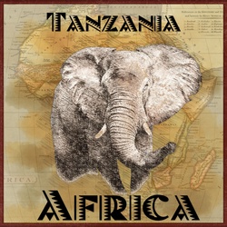 Tanzania Africa Travel Poster: African poster featuring elephant overlay on a vintage map of Africa