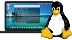 Linux is an Open-source Platform, More Customizable and Community-driven