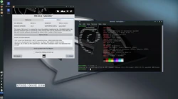 MX Linux 23 on Raspberry Pi 5
