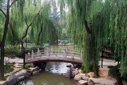 Tranquility: A quiet park in Xi'an