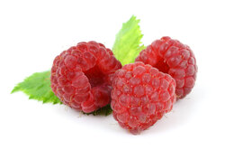 Fresh raspberry isolated on white background 