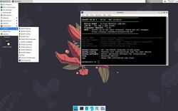 DietPi 8.25 desktop
