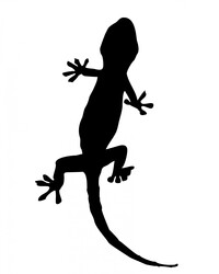 Black silhouette of a gecko clipart