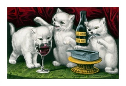 Vintage Kitten Art