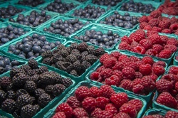 Fresh Berries for Sale at the Farmers Market