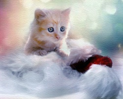 Cute ginger christmas kitten with santa hat watercolor painting card template