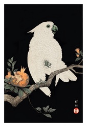Cockatoo Parrot Art Vintage