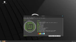 Linux Mint 21.3 EDGE