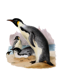 Penguin Vintage Art Painting