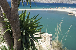 Beach with a palm tree in Albania in a hot summer day