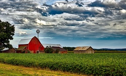 Scenic Farm Landscape