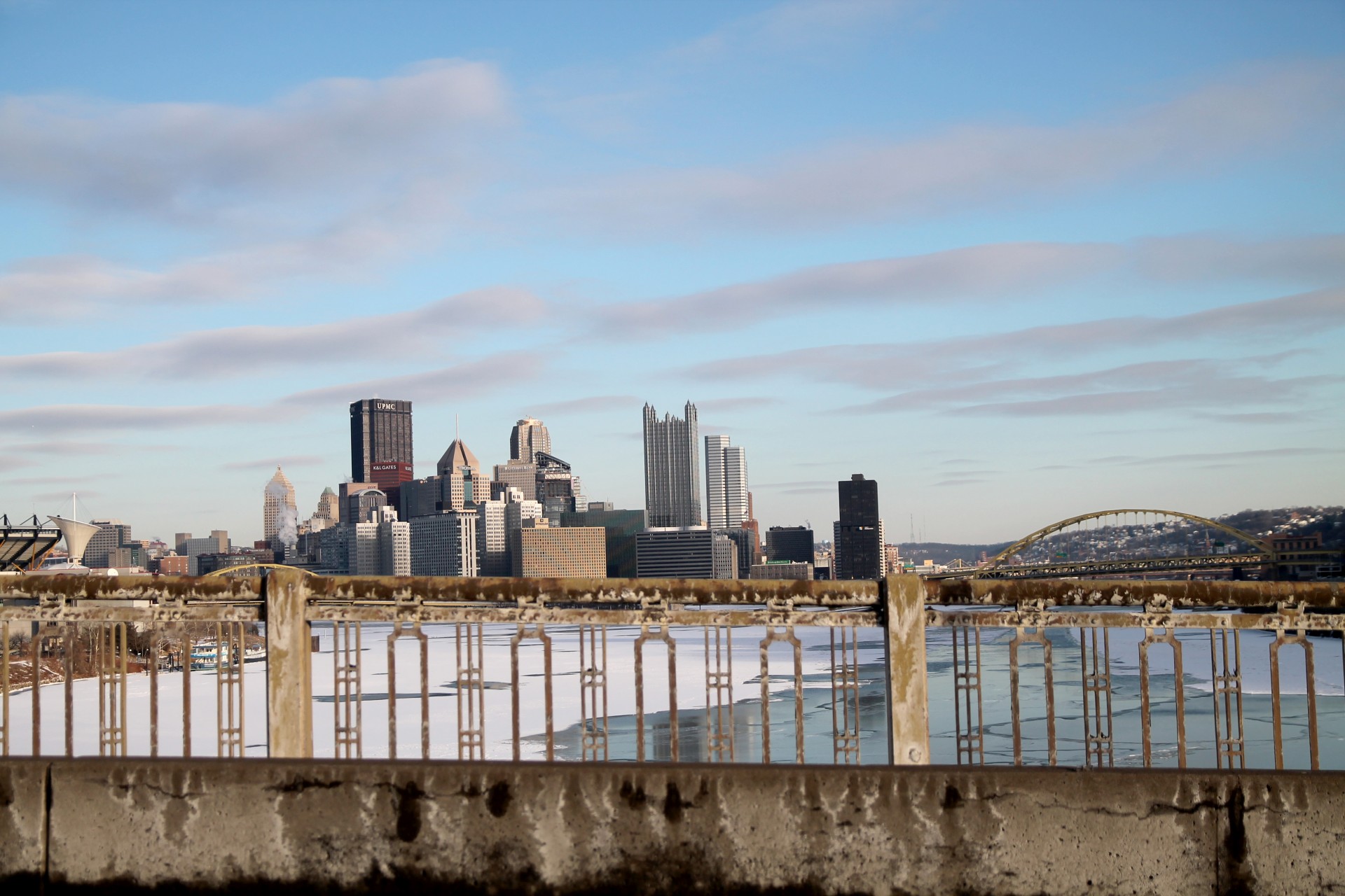 Pittsburgh through Bridge Railing