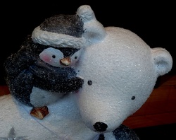 Polar Bear And Penguin