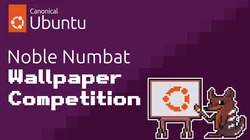 Ubuntu 24.04 TLS wallpaper competition