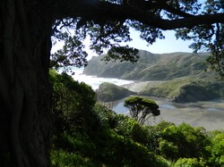 Scenic West Coast NZ