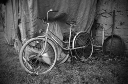 Old bicycle - Black and White