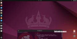 Ubuntu 24.04 LTS beta