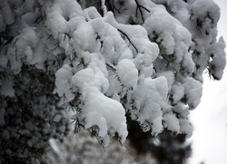 Snow in Finland