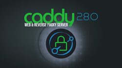 Caddy 2.8 web 