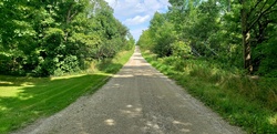 A country road in the summertime