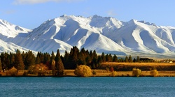 New Zealand Mountain Landscape