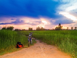 Road in rural area farm